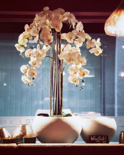 Orchidee Idee