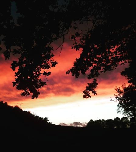 Himmel in kokett