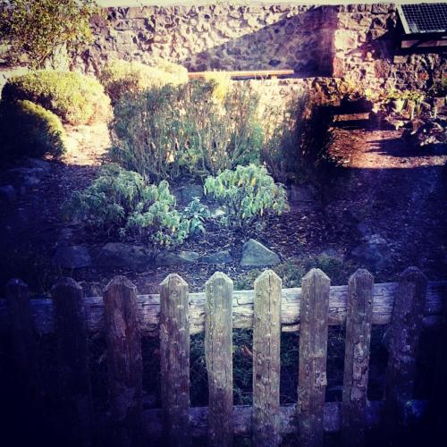 Kräutergarten an der Burg