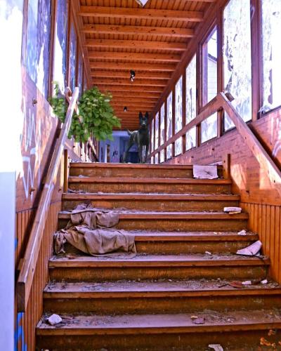 Malinois /Lost Place