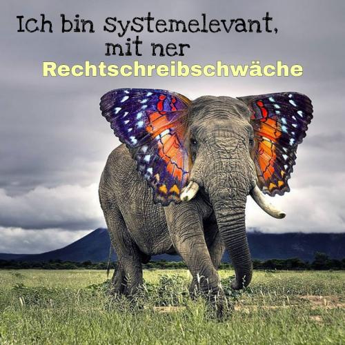 Elephant mit Rechtschreibschwäche