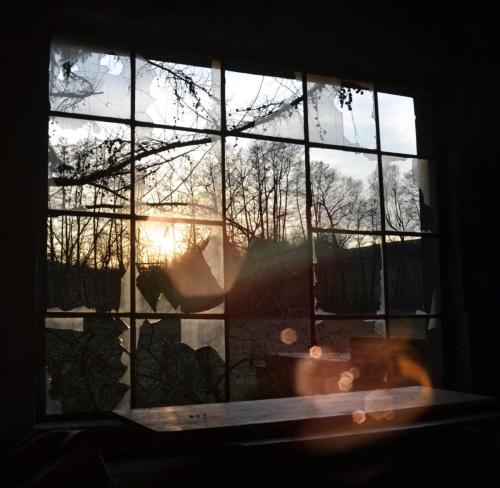 Abschiedsblick in der Werkstatt