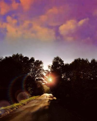 Purple way