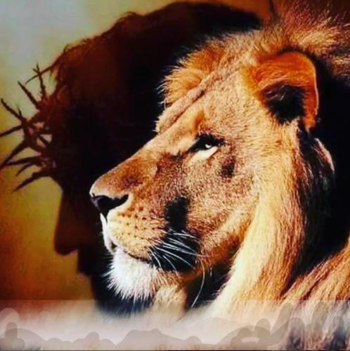 Jesus gewinnt
