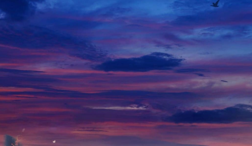 Purple wihtout rain